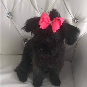 Meet your Posher, Veronica